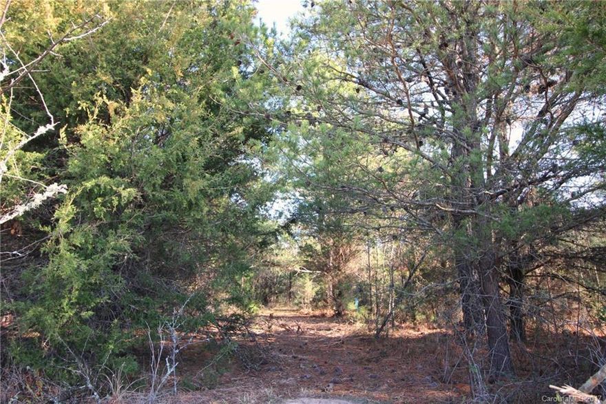 Nestled right outside the charming town of Clover, SC! This horizontal canvas is peppered with beautiful trees and ready for you to paint your next chapter on!  Once you've settled in your new chapter visit all that the communities of Clover and Lake Wylie have to offer! Steeped in historical beauty, fine dining, award winning schools and state of art parks and recreation!  Don’t miss this rare opportunity to own a portion of the town with “love” in the middle! More lots are available!