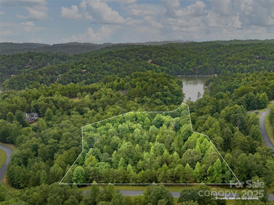 Remarkable lakefront Lake Adger lot. Private 5.44 acres that is gently sloped and bordered by a good sized creek. This property is tucked in the back of a private cove and there is an existing floating dock in place. There are multiple building site options and there there is a 4 bedroom septic improvement permit already in place. This is a hard to find gentle sloped lakefront lot. Lake Adger has 14 miles of shoreline and 438 surface acres of water where you can enjoy boating, kayaking, fishing and swimming. The Lake Adger Community is a private planned community with 3250 +/- acres and includes 13 miles of private equestrian and hiking trails. Conveniently located to Asheville and Hendersonville, NC and Greenville and Spartanburg, SC.