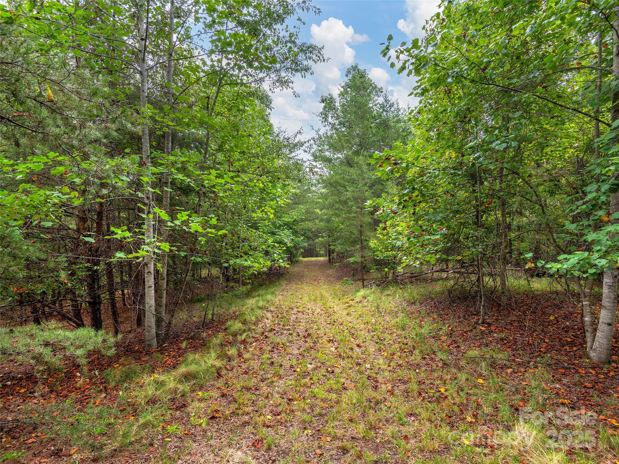Lot #28 Parkway North Road 28