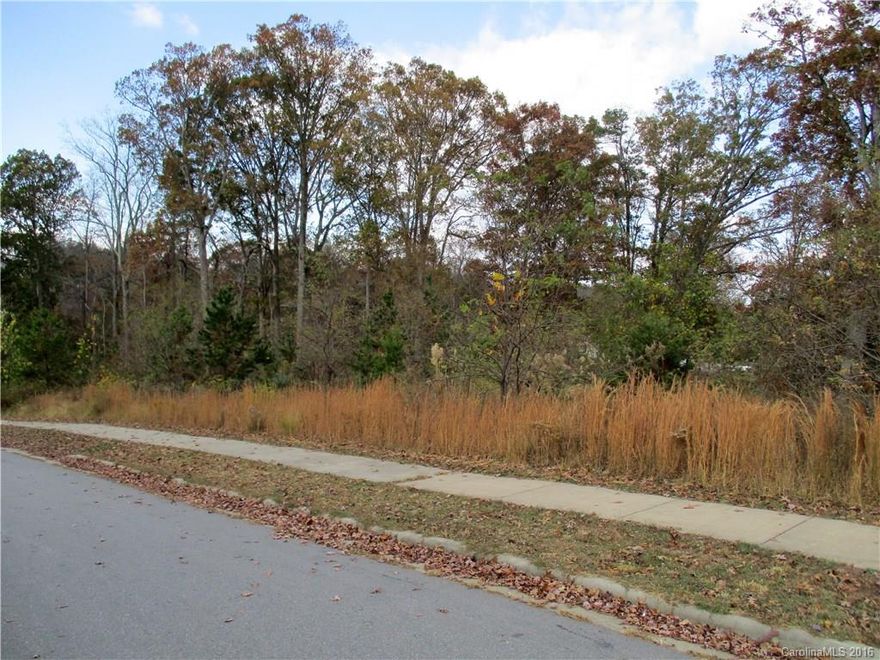 Two buildable lots in City of Asheville, Zoning C1, water, sewer and gas available, sidewalks and curb cuts in, proposed duplexes approved, sewer easement approved.  Convenient to West Asheville and right between I-40 and I -26 on 191.
