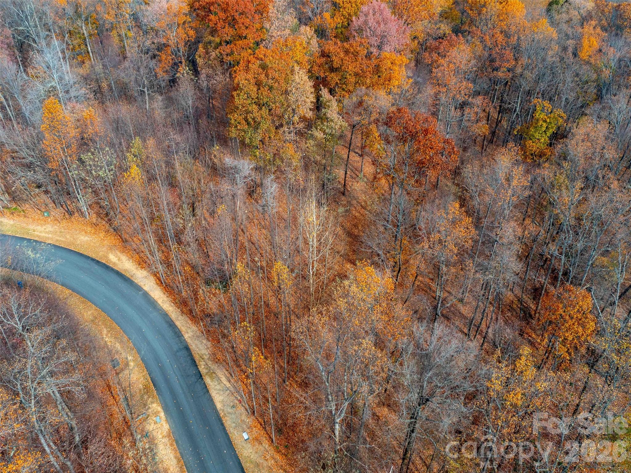 Brights Creek - Land