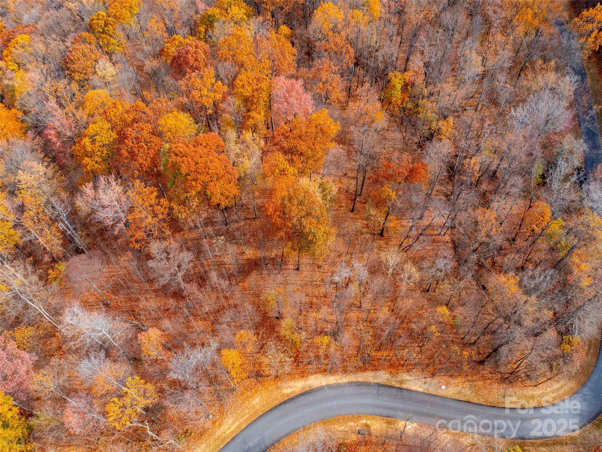 Lot 2110 Harm Creek Loop