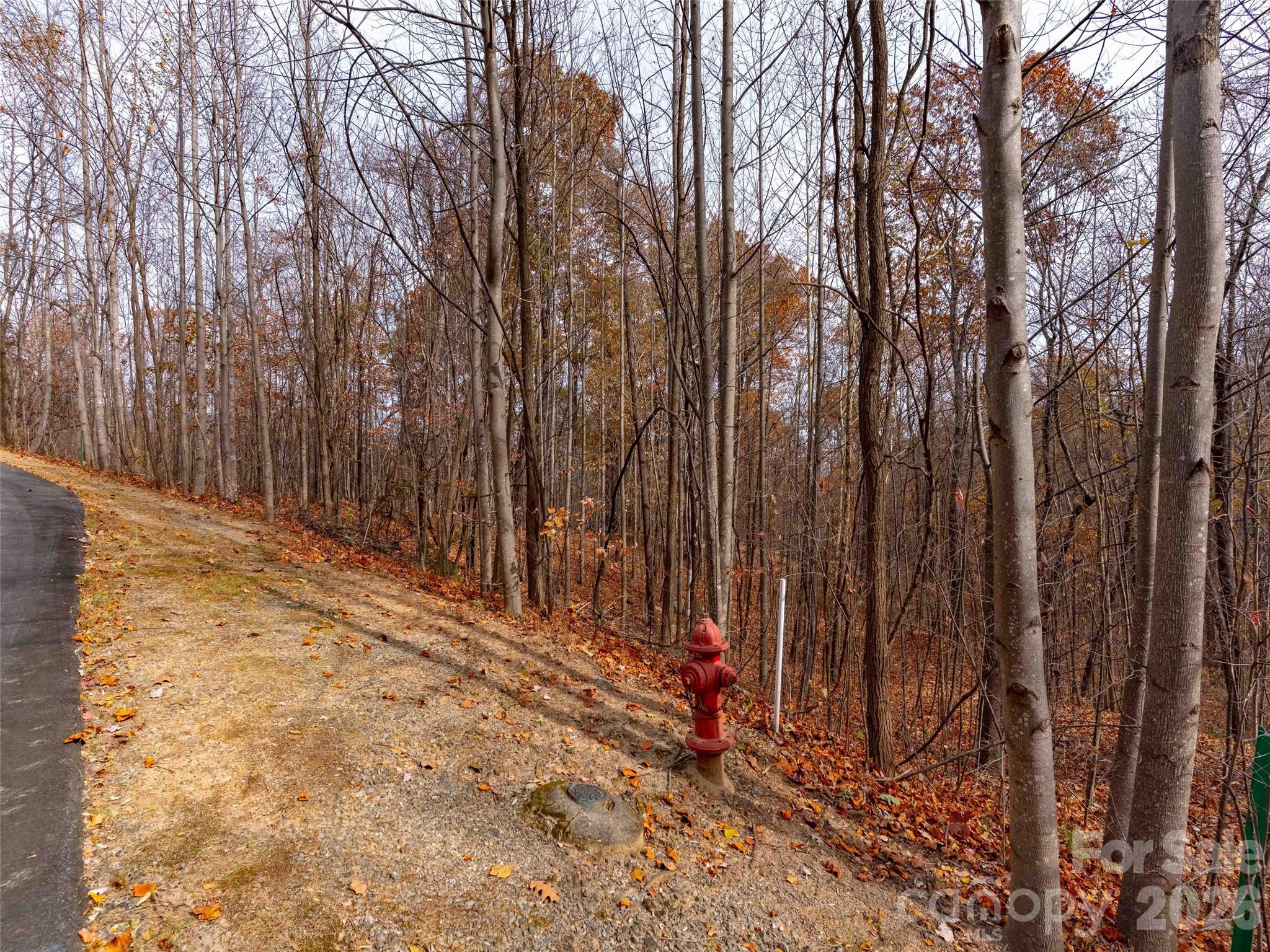 Brights Creek - Land