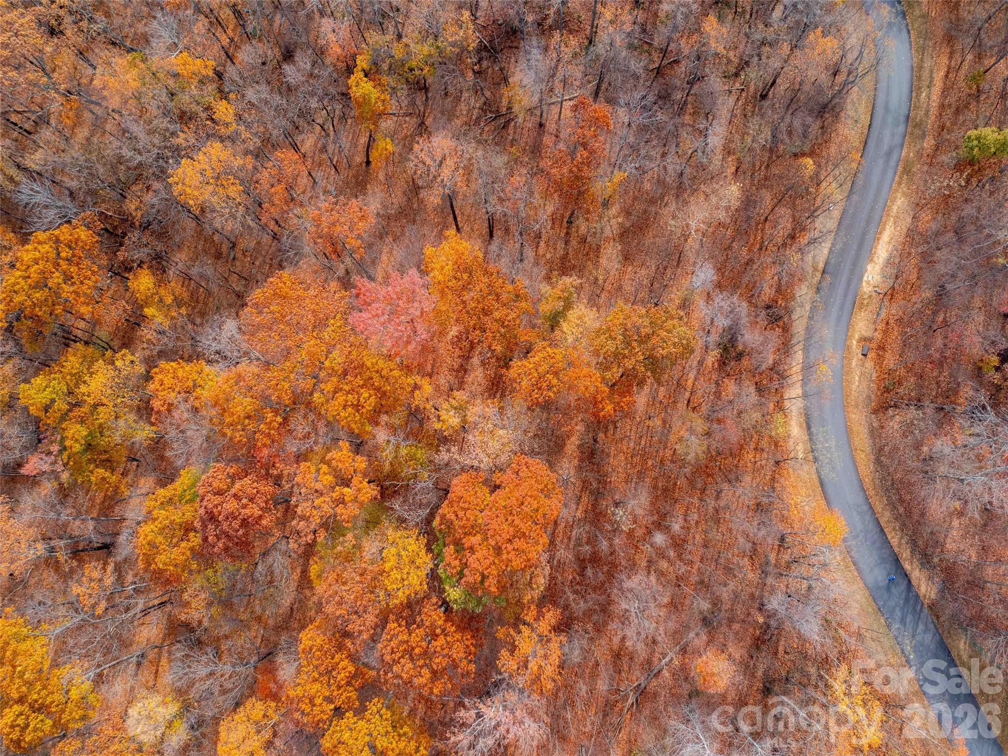 Brights Creek - Land