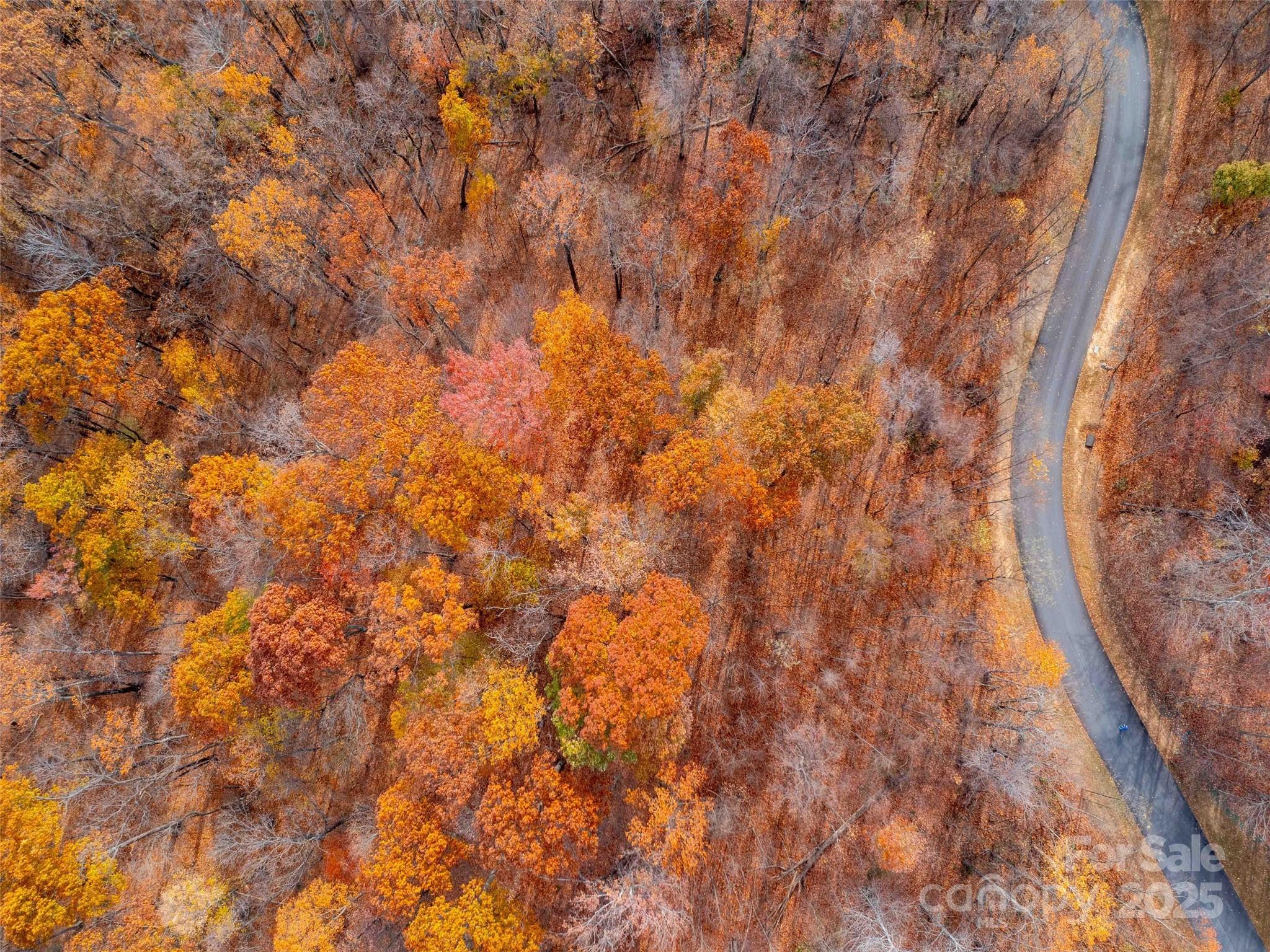 Lot 2110 Harm Creek Loop