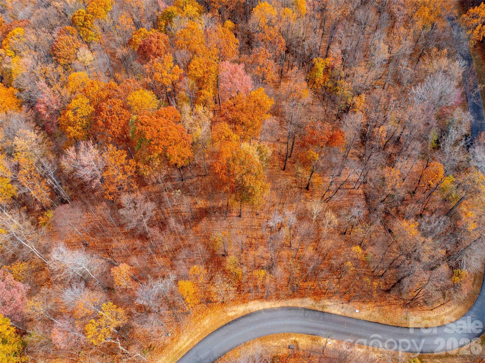 Brights Creek - Land