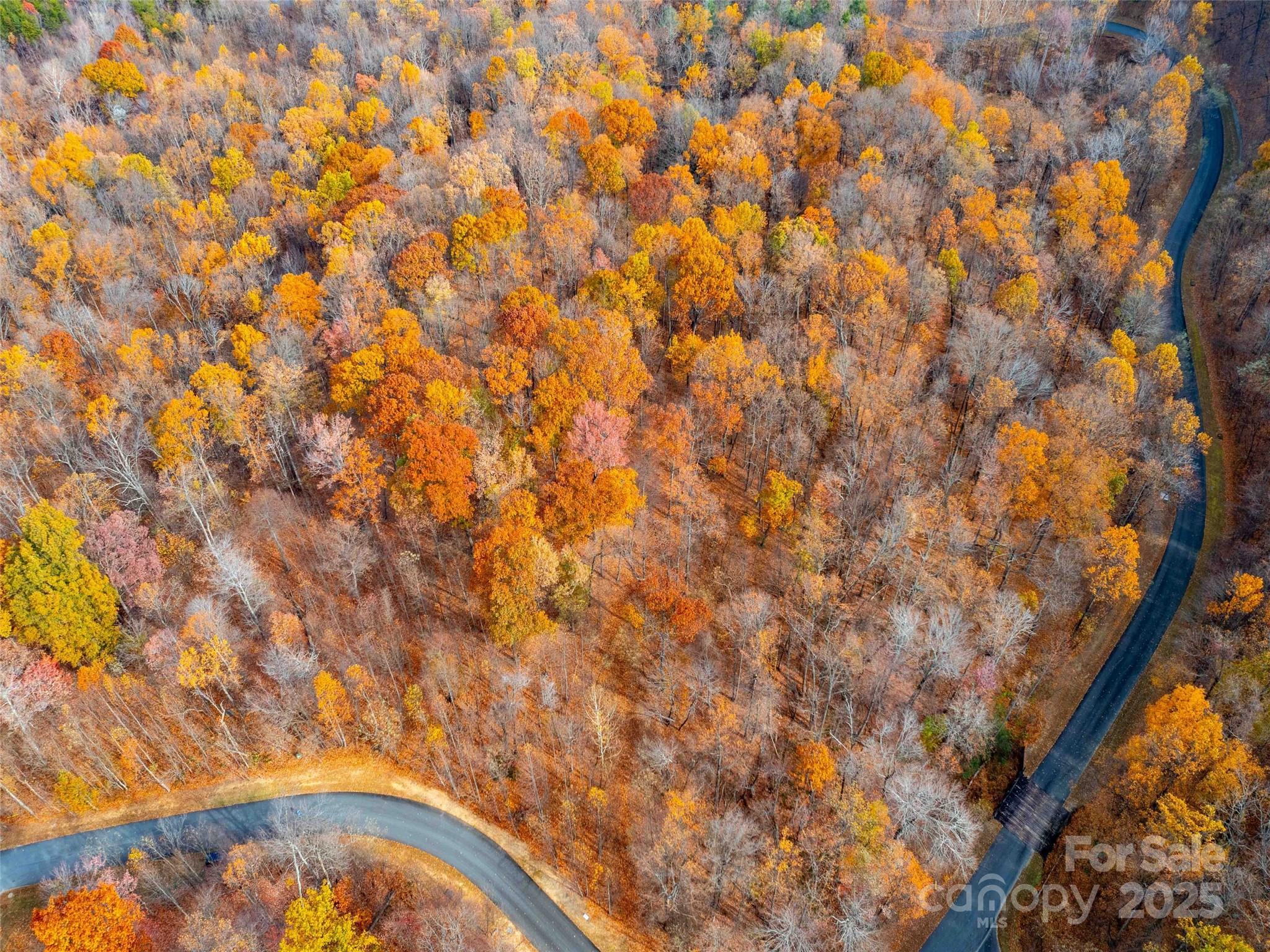 Lot 2110 Harm Creek Loop