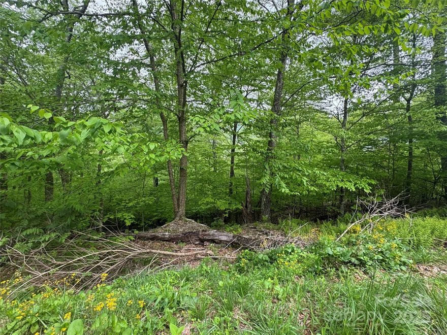 Excellent price, and super location for this building lot in a gated golf and ski community with a full menu of year round activities including, tennis, pickle ball, fish pond, outdoor pool, hiking trails, event pavilion and more.  This lot is a short distance off the paved road, and is walking distance to the country club, fitness center, etc.  Community water system in place. (fees to connect).  Non brokers must be accompanied for sec gate, all amenities require separate, voluntary, paid memberships.  All restrictions and details please refer to the Restrictions Description, or OAD attached hereto.