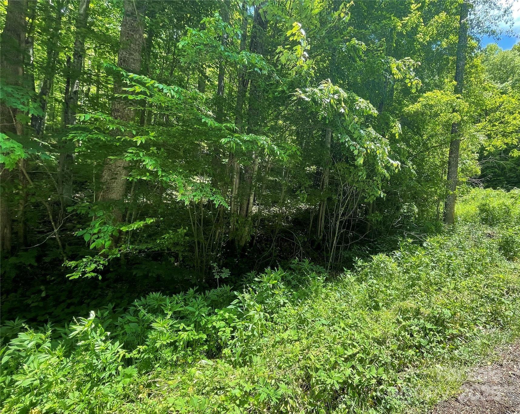 22 Zebulon Lane