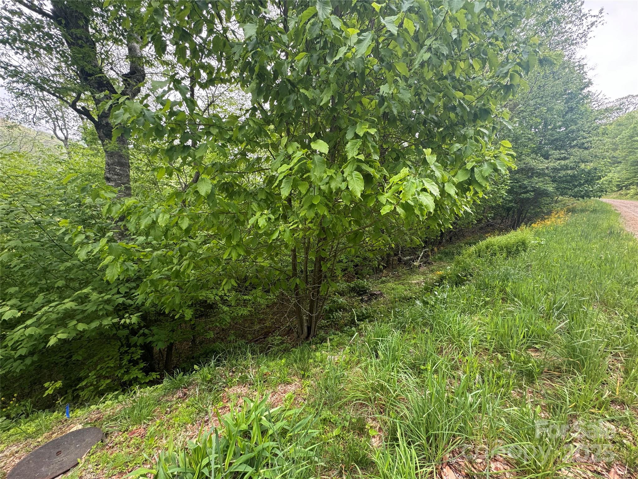 22 Zebulon Lane
