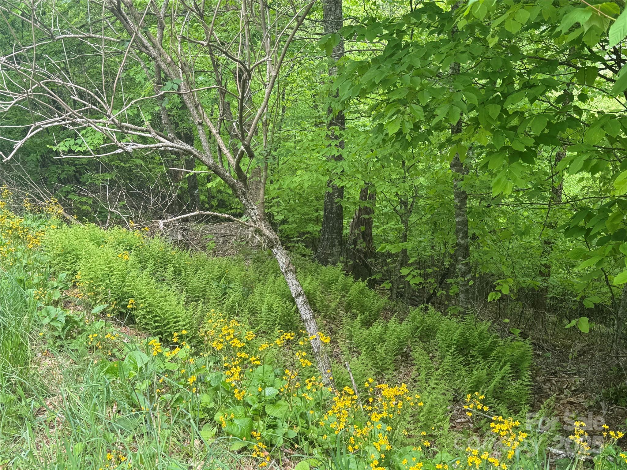 22 Zebulon Lane
