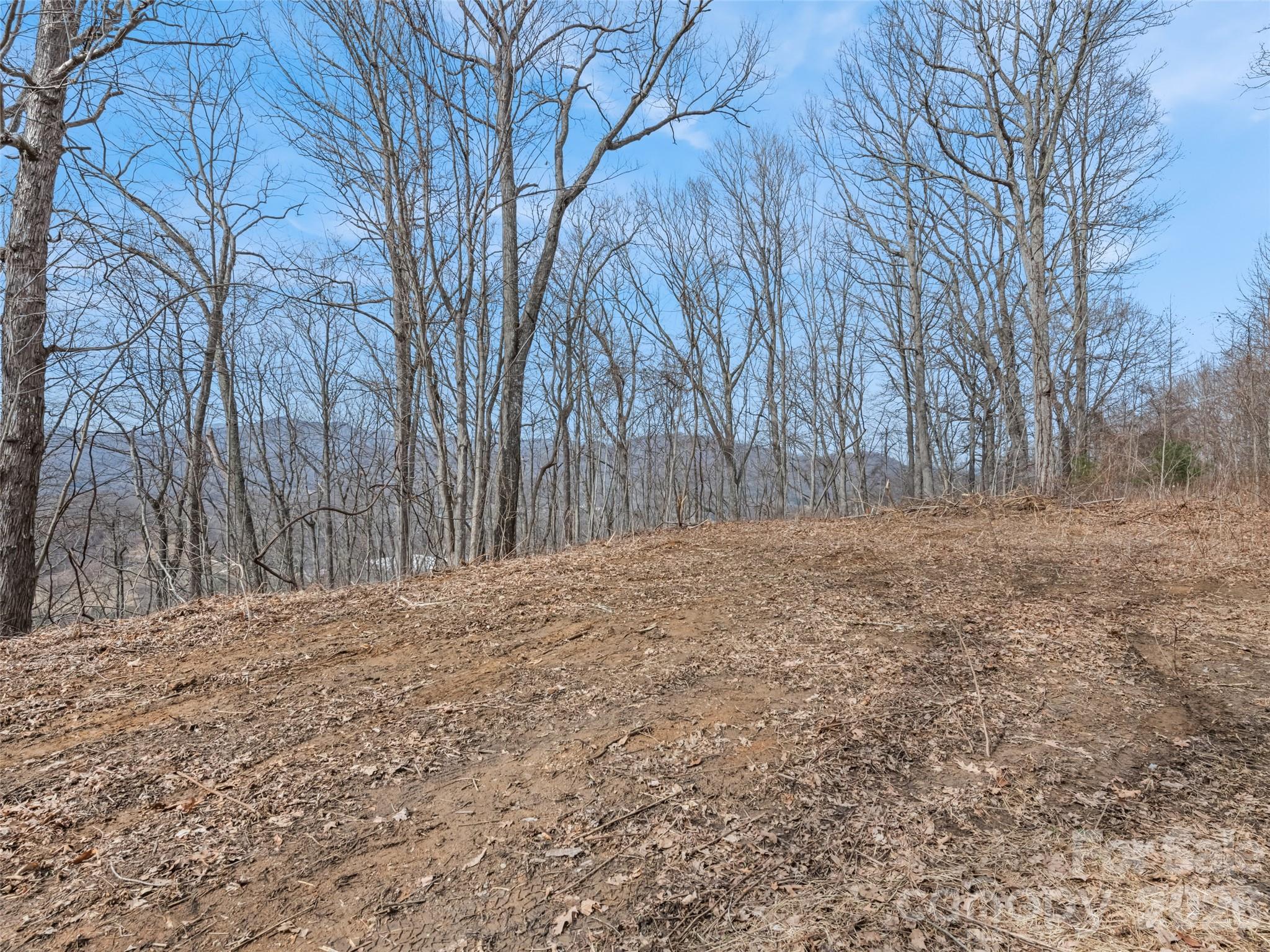 Lot #3 Viewpoint Mountain