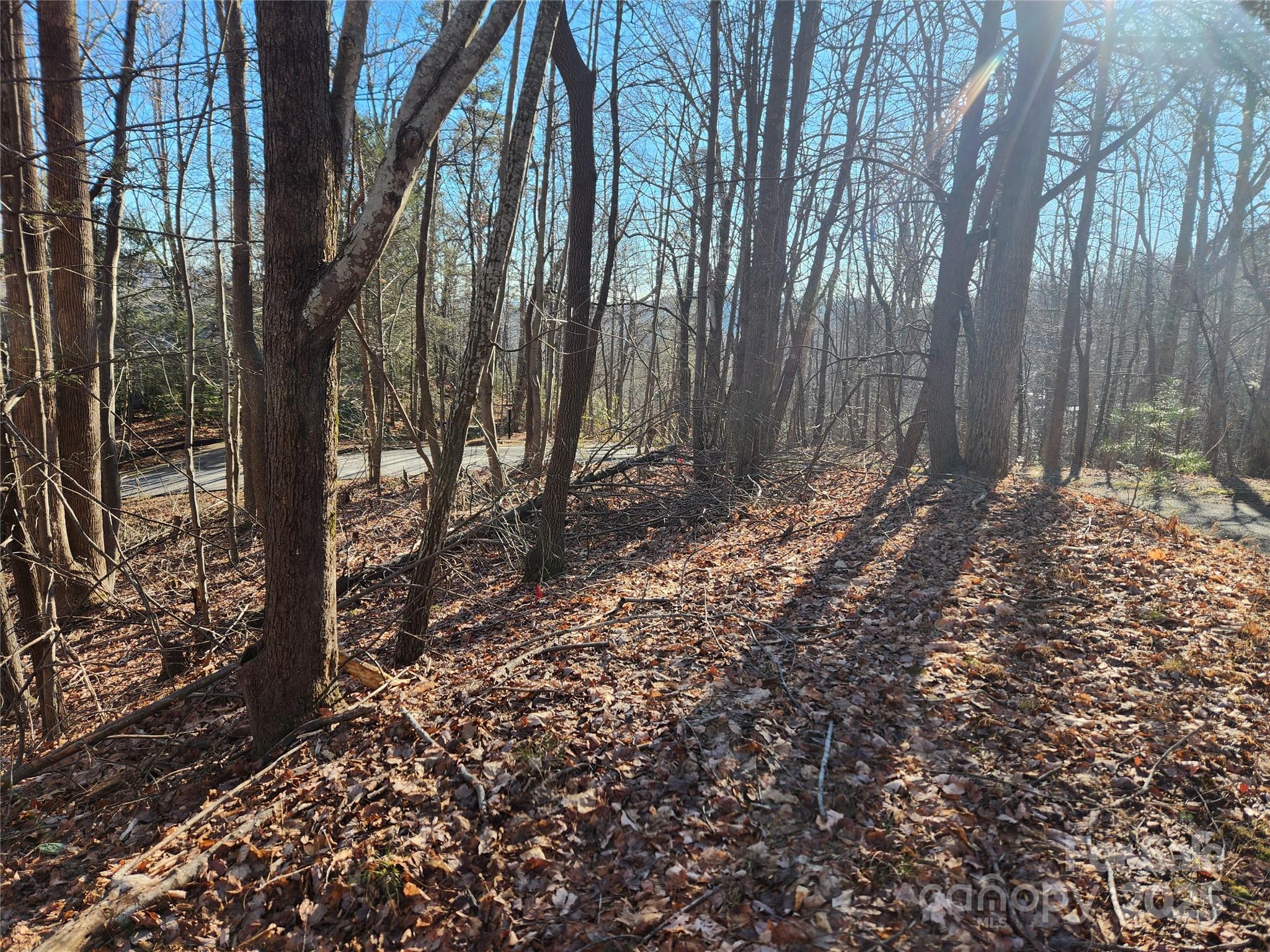 Lot 218 Bolt Road