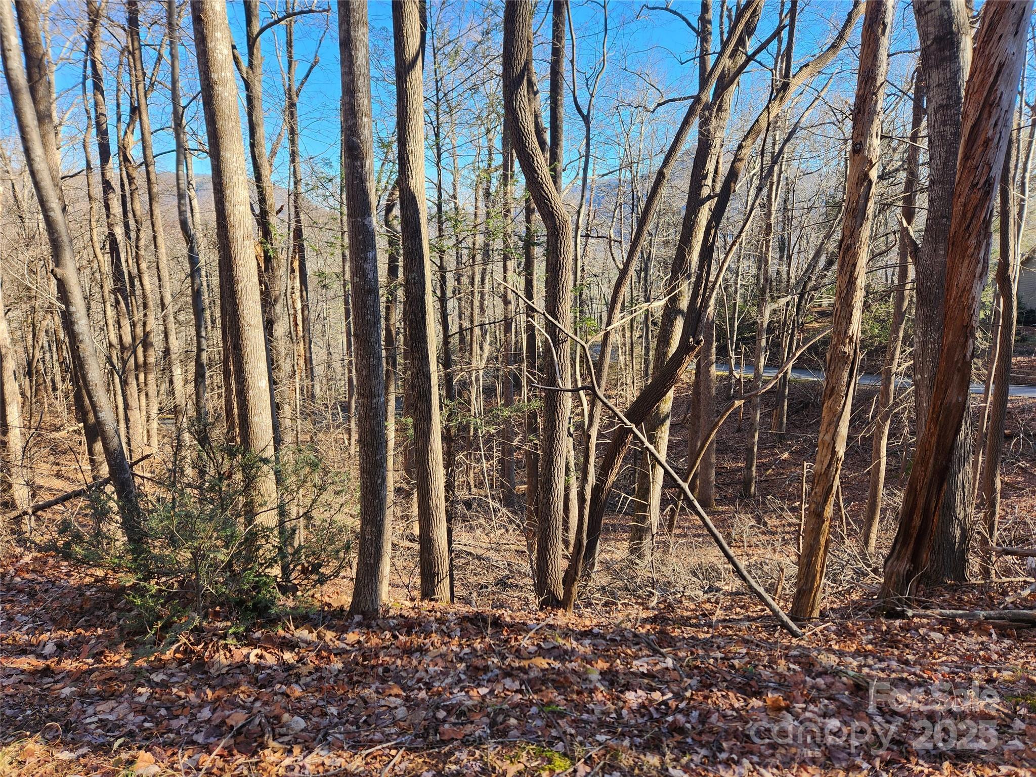 Lot 218 Bolt Road