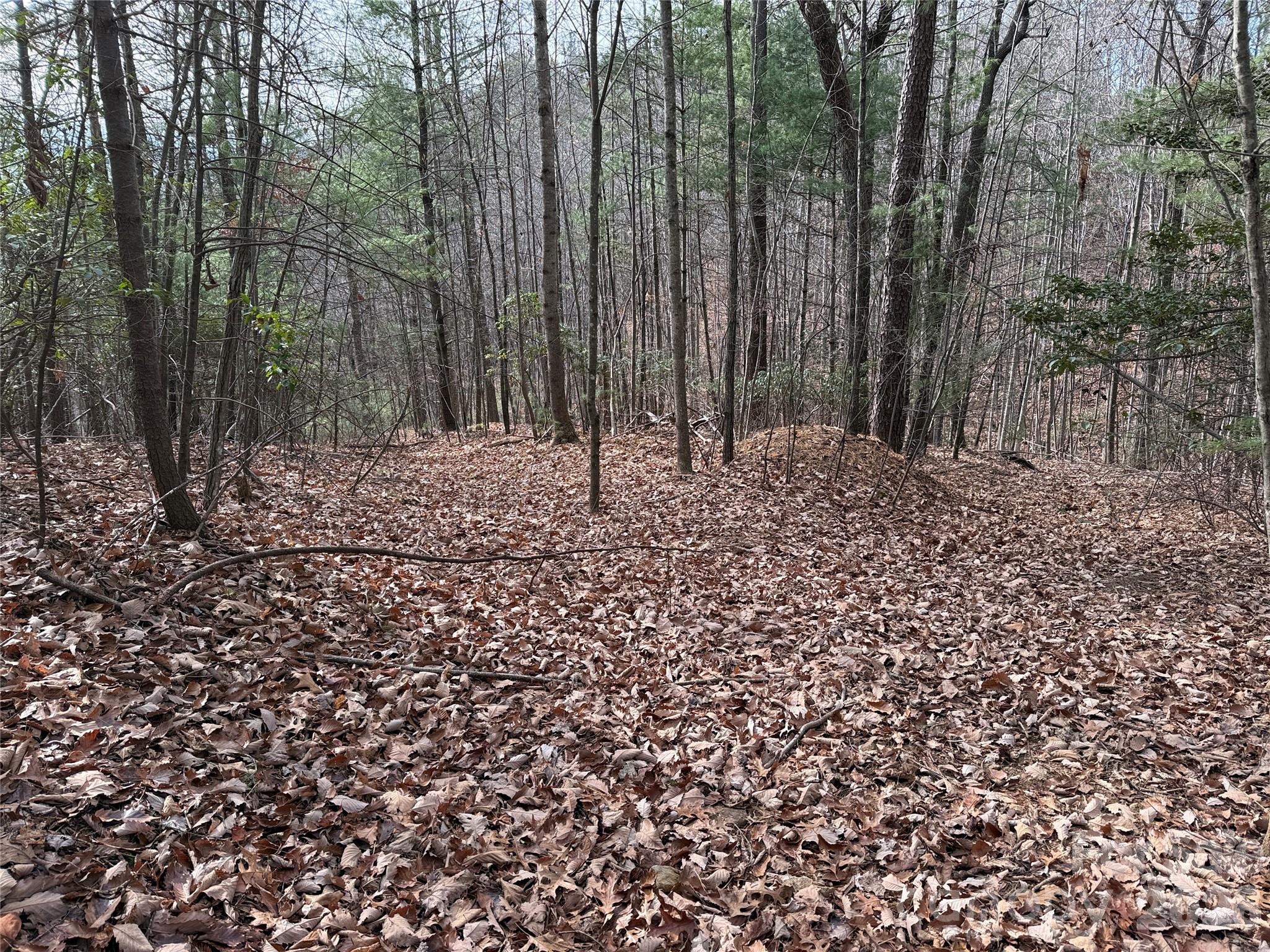 Buck Mountain - Land