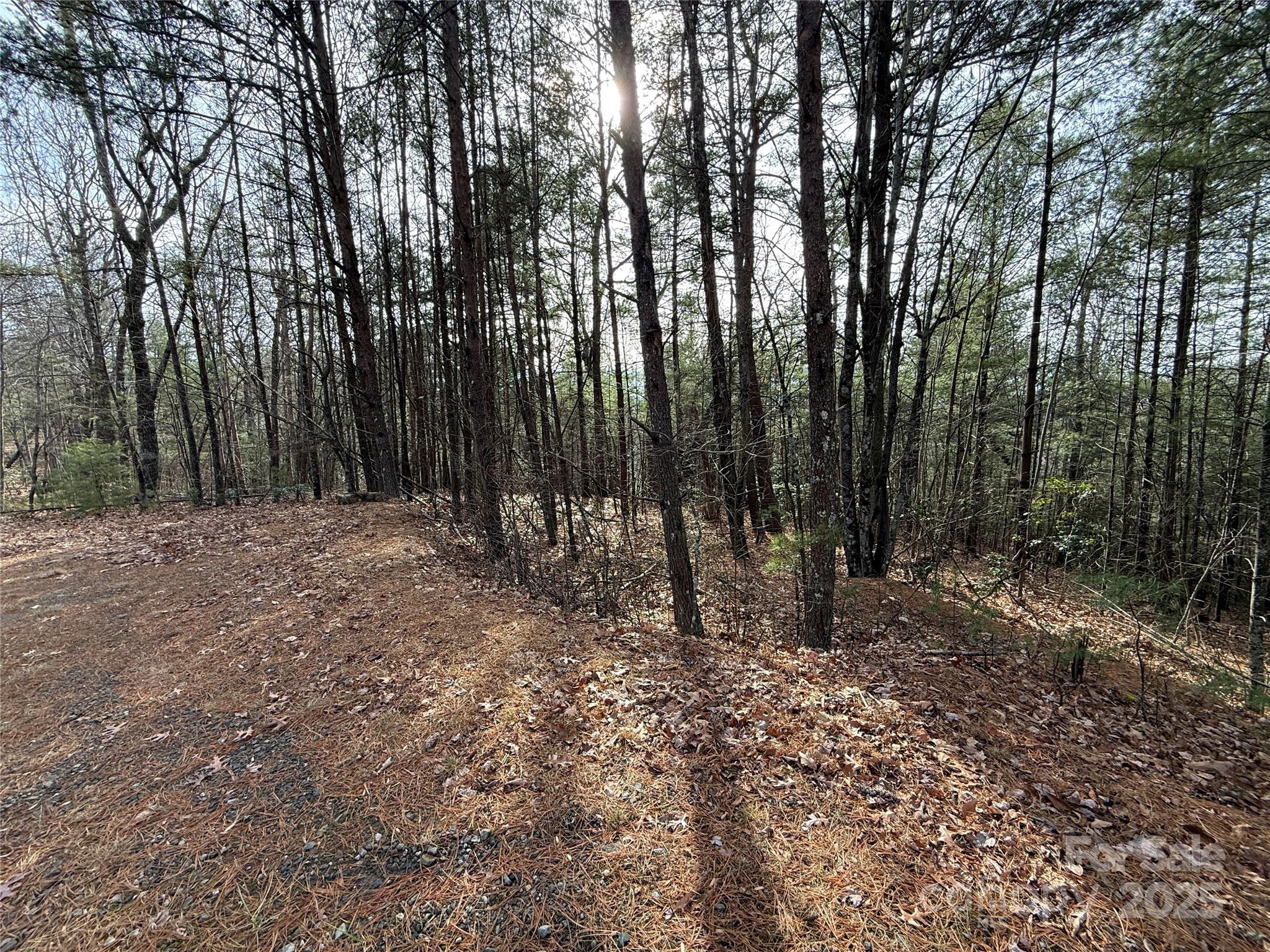 TBD Buck Mountain Road 21