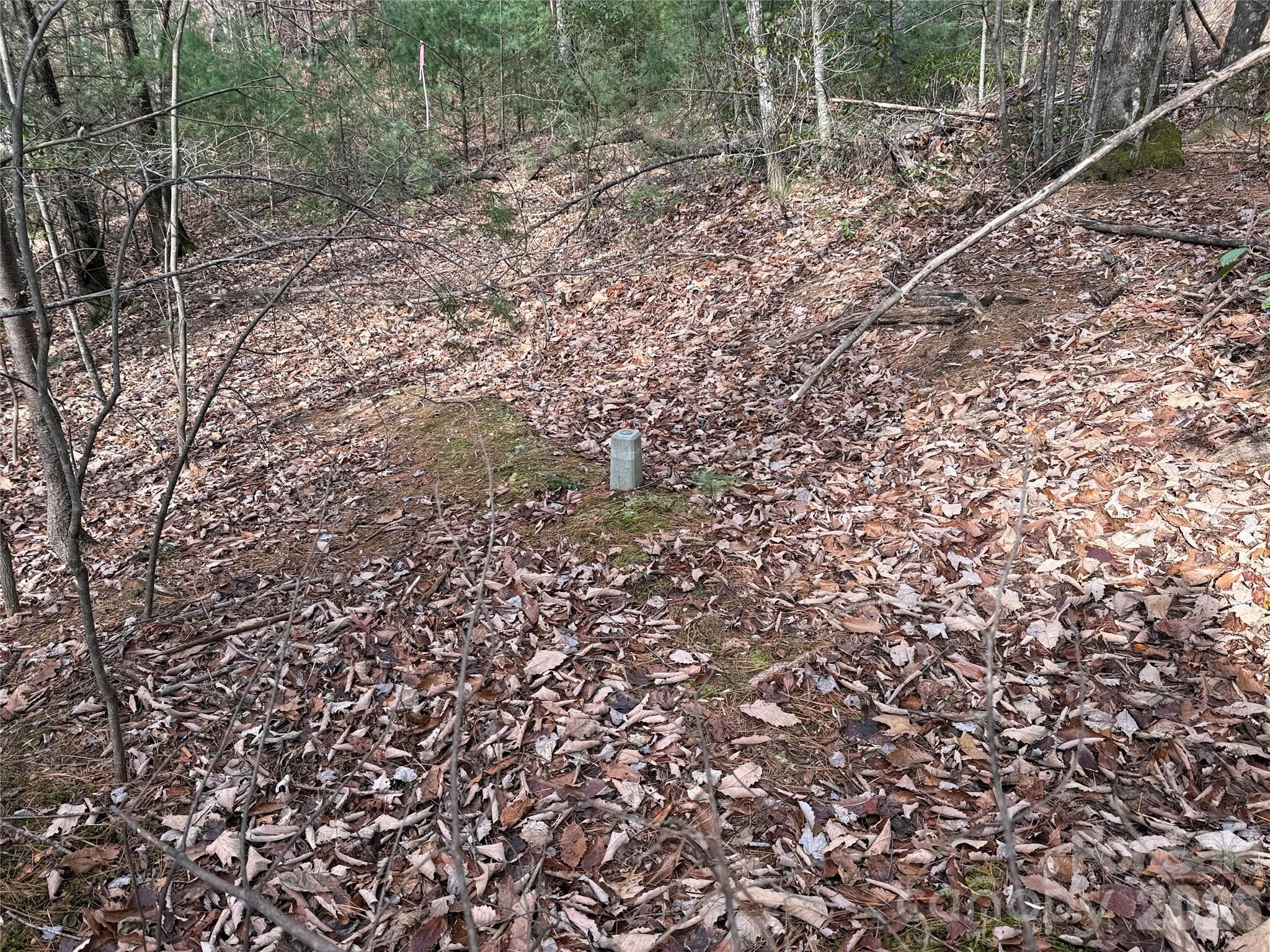 Buck Mountain - Land