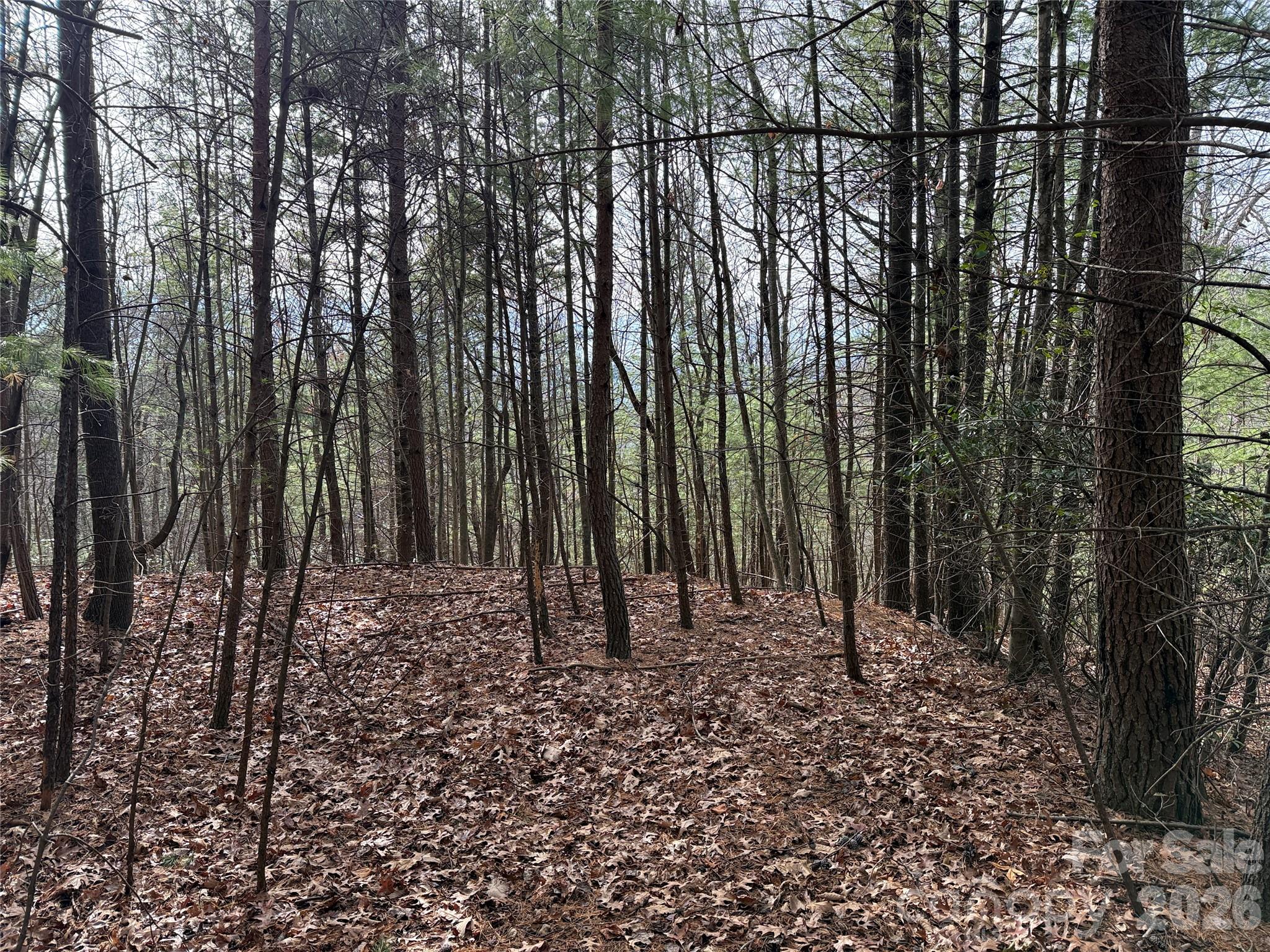 Buck Mountain - Land