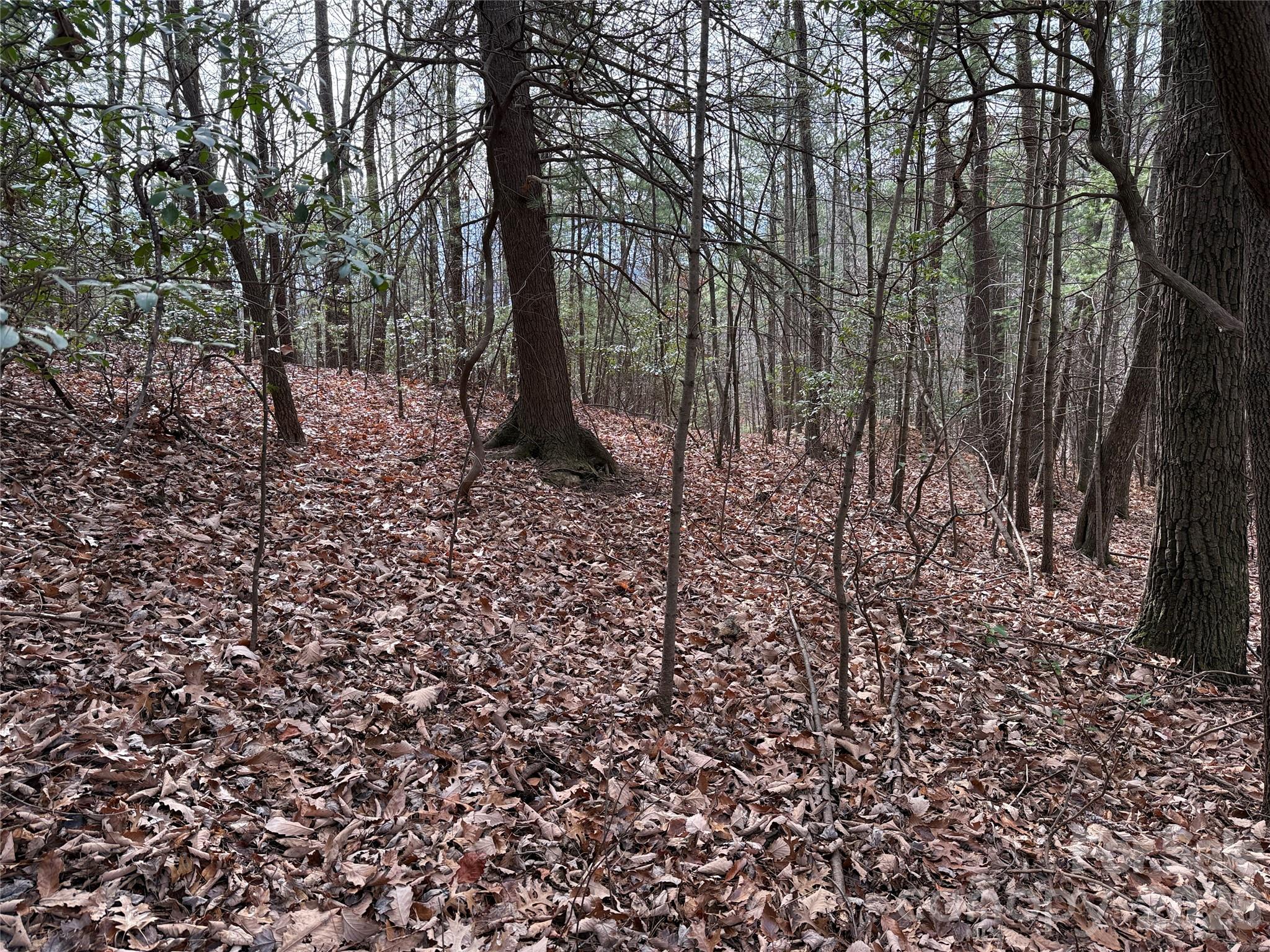 Buck Mountain - Land