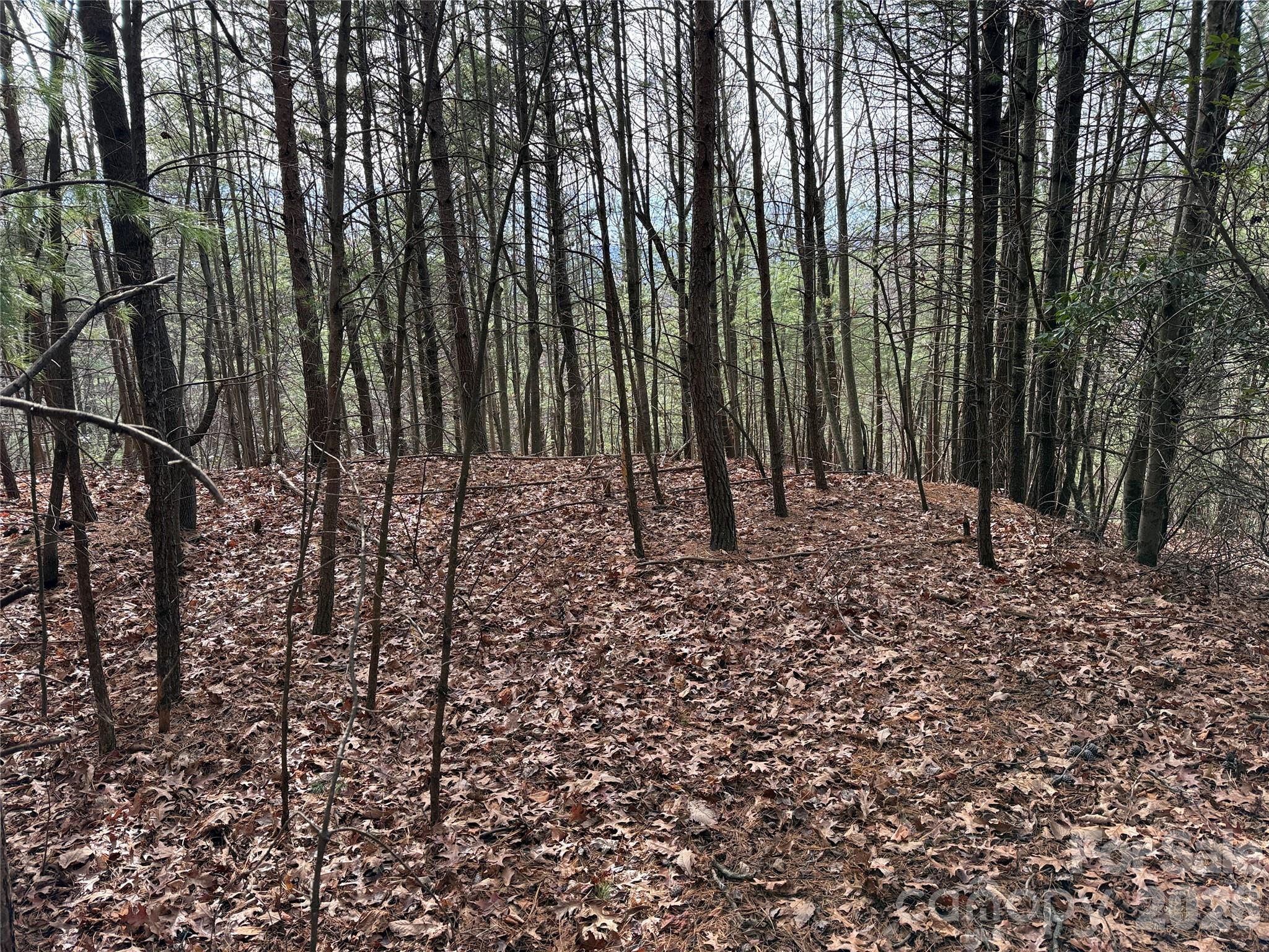 Buck Mountain - Land