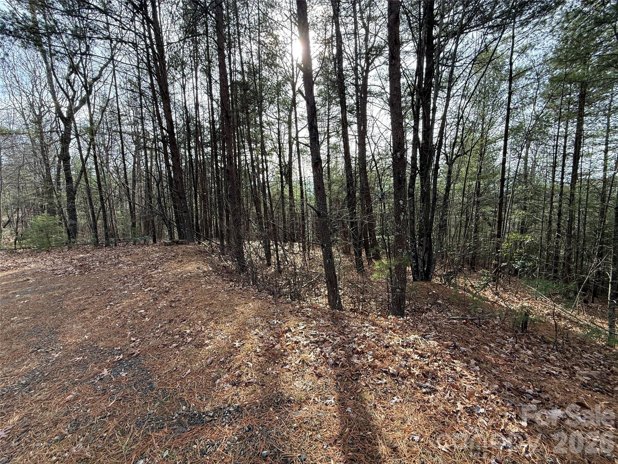 Buck Mountain - Land