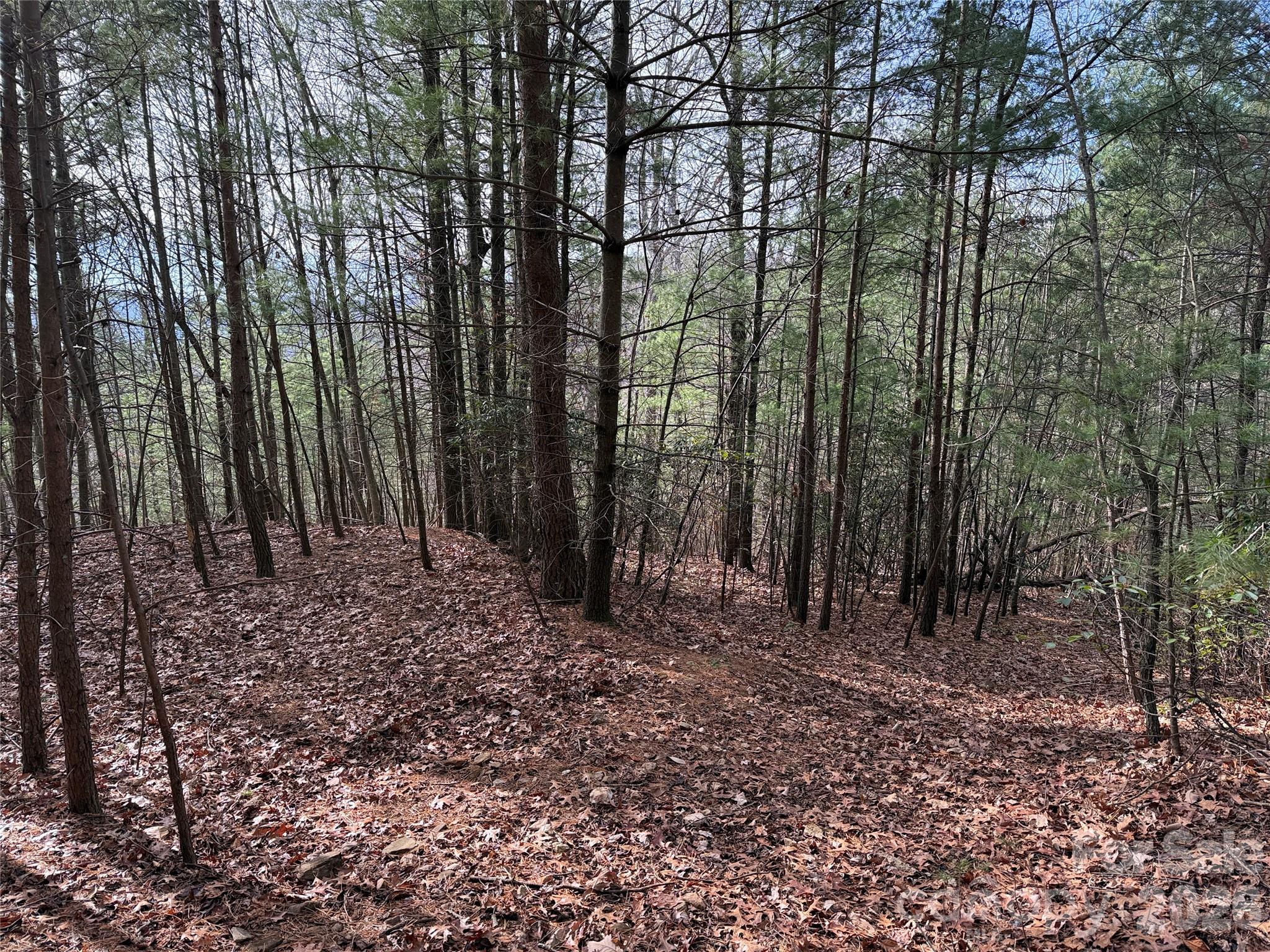 Buck Mountain - Land