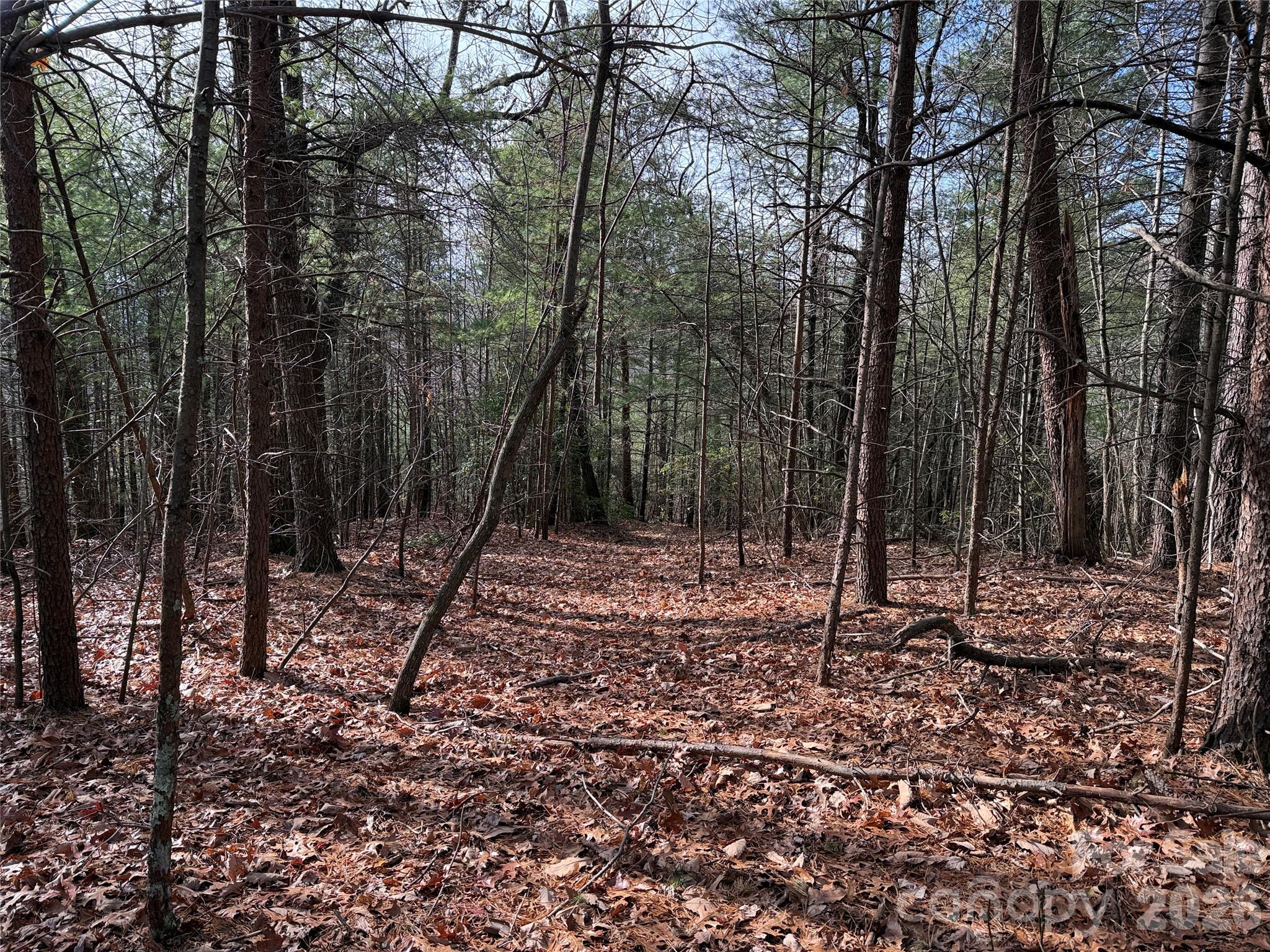 Buck Mountain - Land