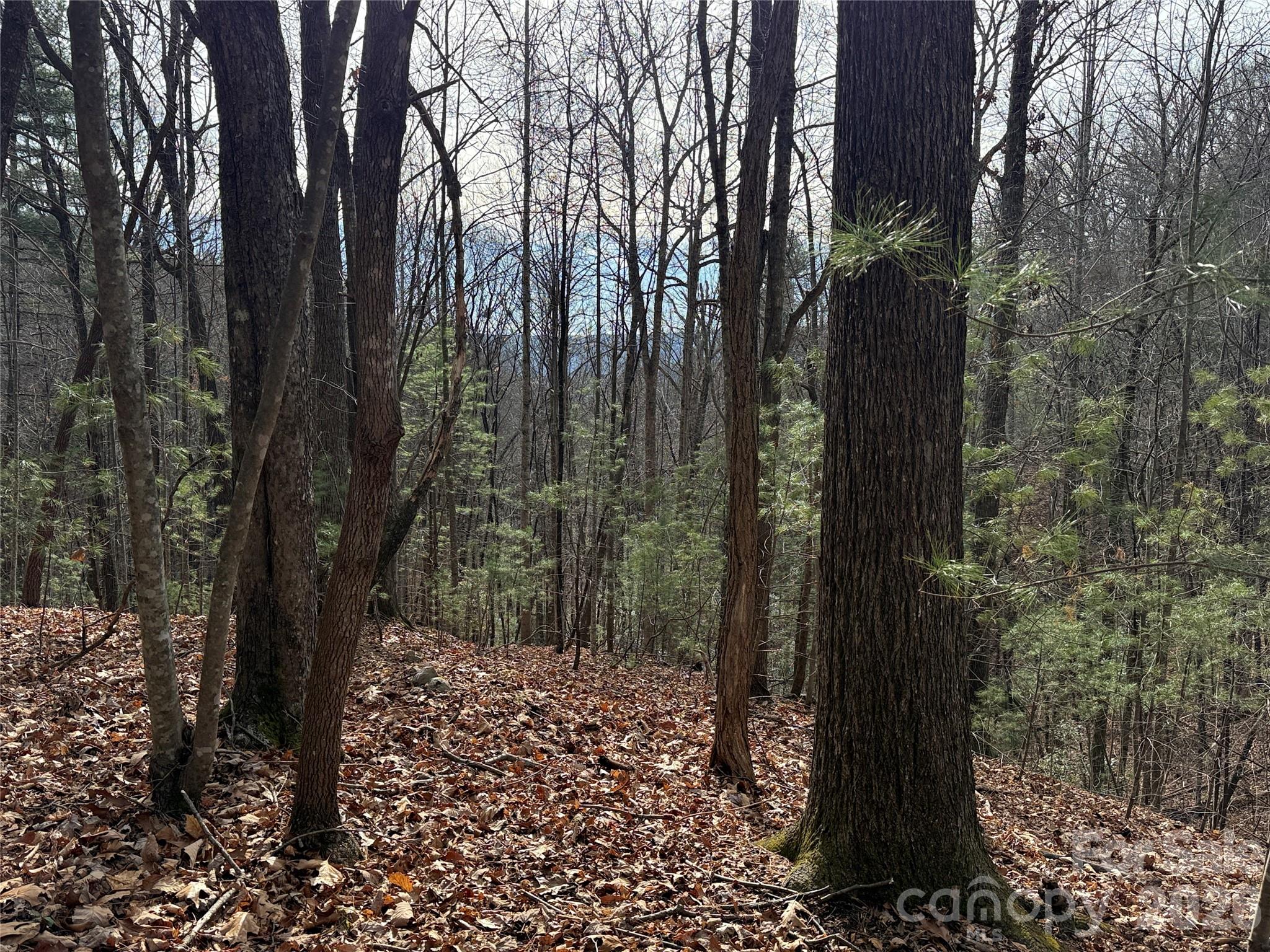 Buck Mountain - Land