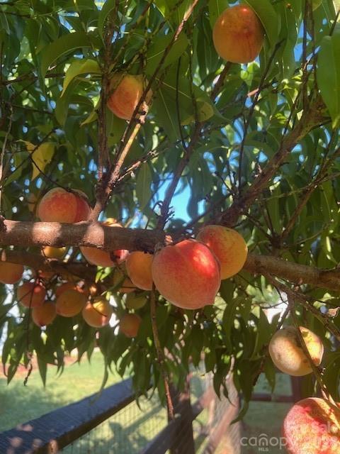 River Falls - Residential