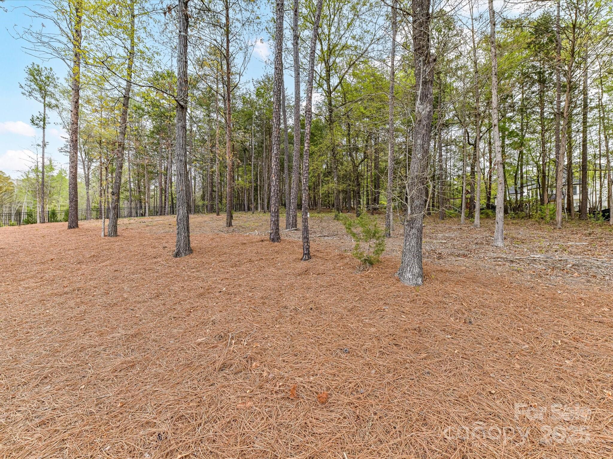 The Ridge at Fort Mill - Residential