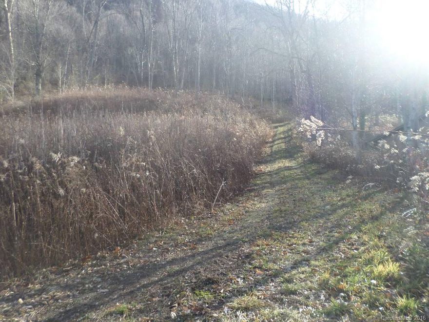 Lot located at the end of street, with septic tank installed and city water available. Doublewide mobiles are allowed as well as modular, and site built homes. Nice views.  Located between Maggie Valley and Waynesville for easy convenient access.