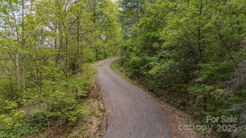 000 Buena Vista Drive 25 Barnardsville NC 28709