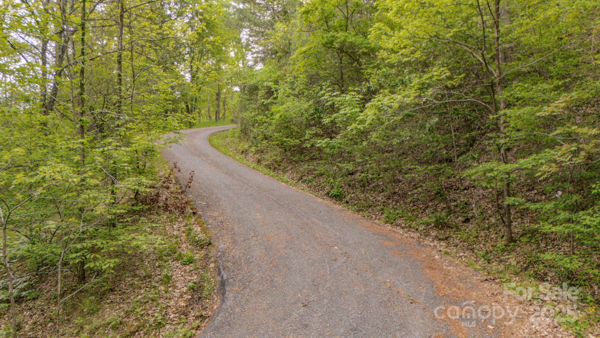 000 Buena Vista Drive 25