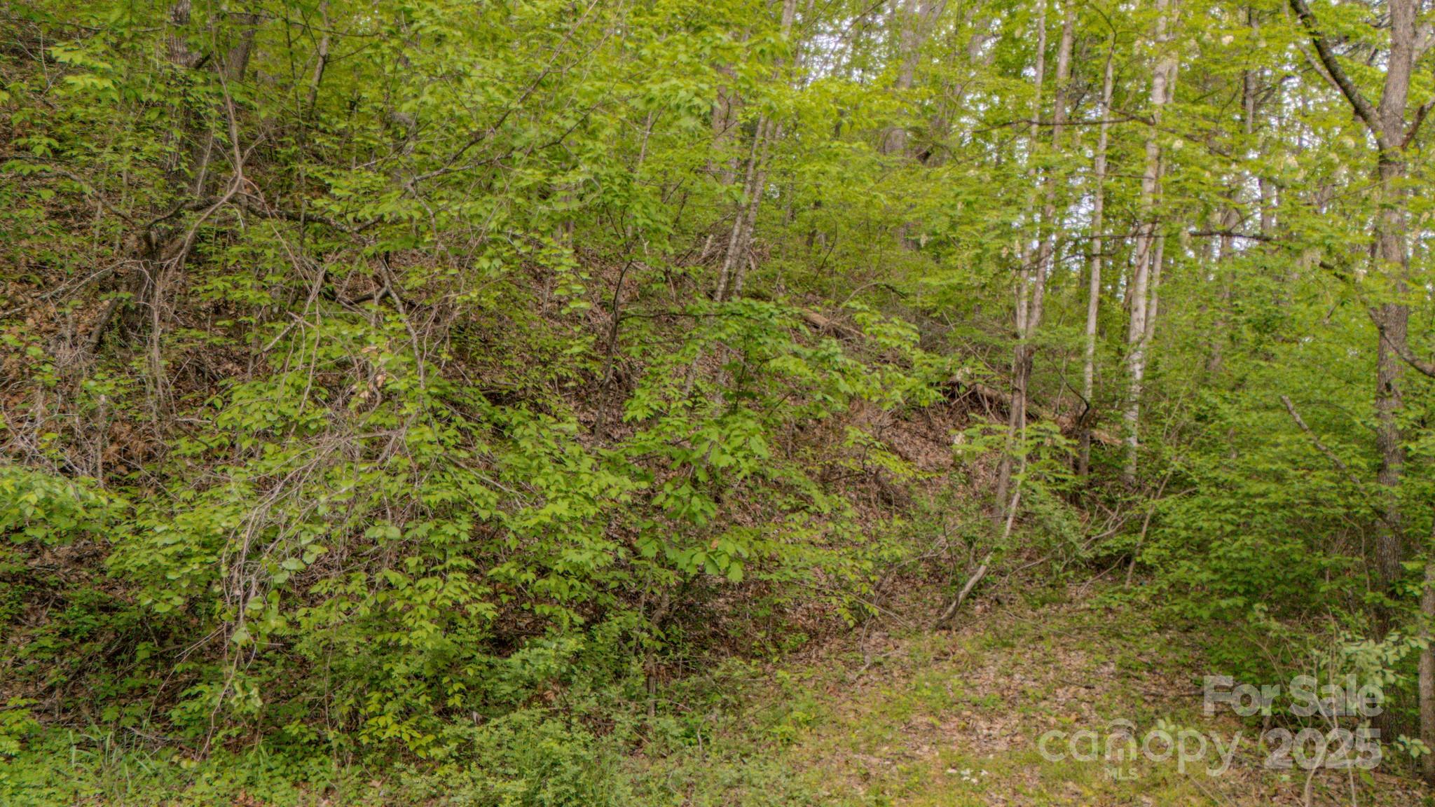 000 Buena Vista Drive 25