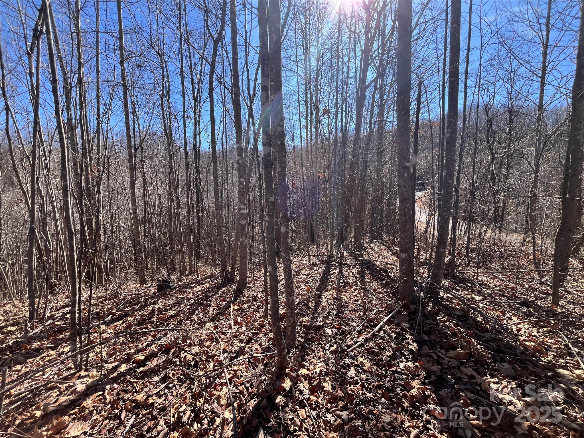 Lot 156 Kenwood Court