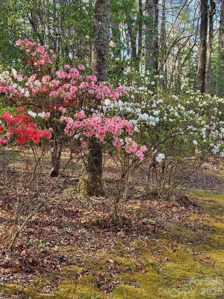 667 Pinewood Knoll Drive