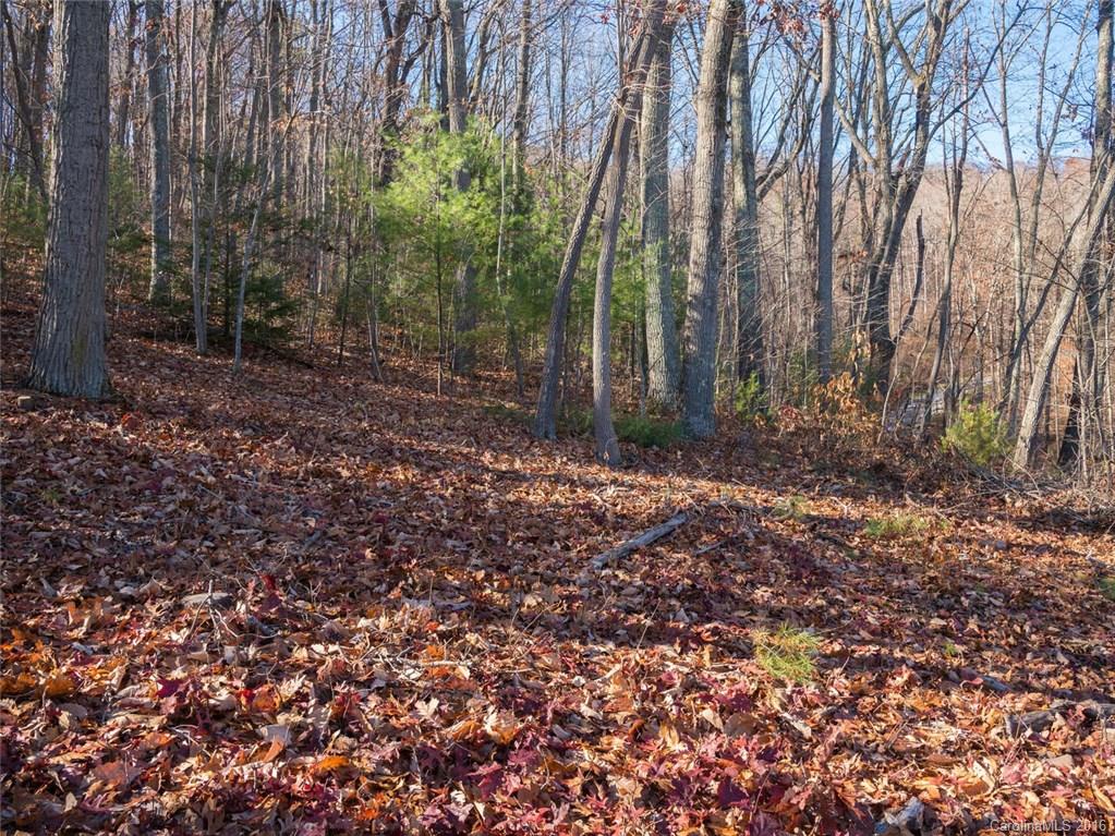 Beaucatcher Heights - Land