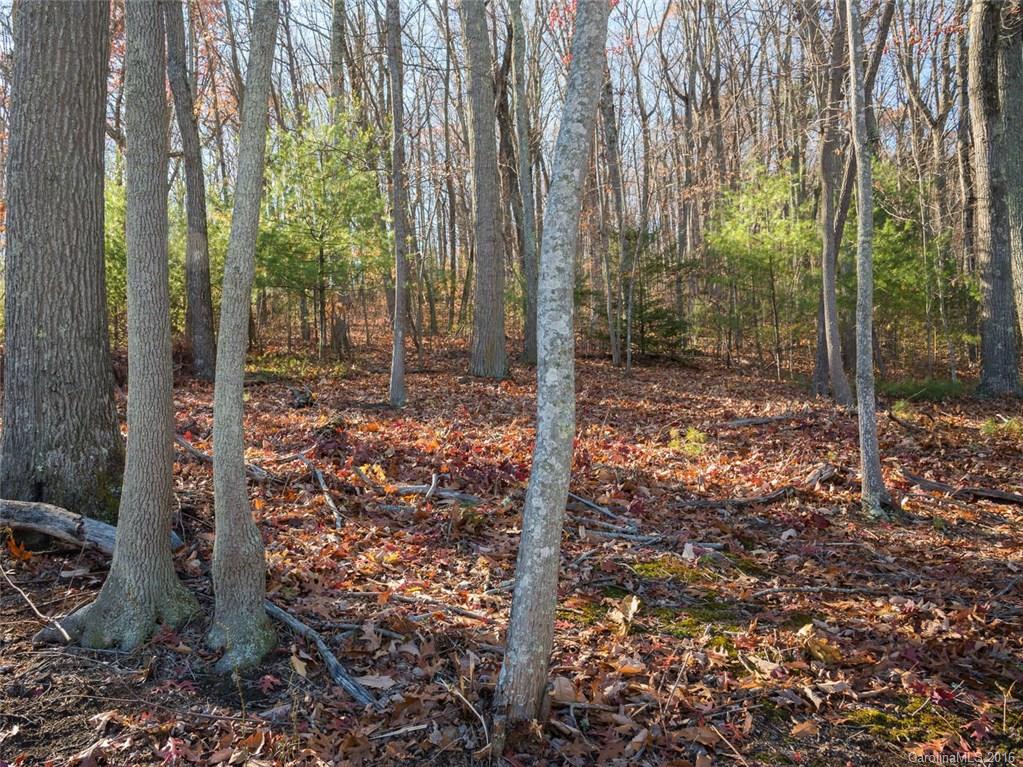 Beaucatcher Heights - Land