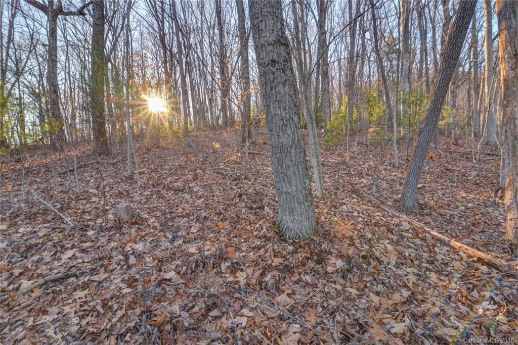 Beaucatcher Heights - Land