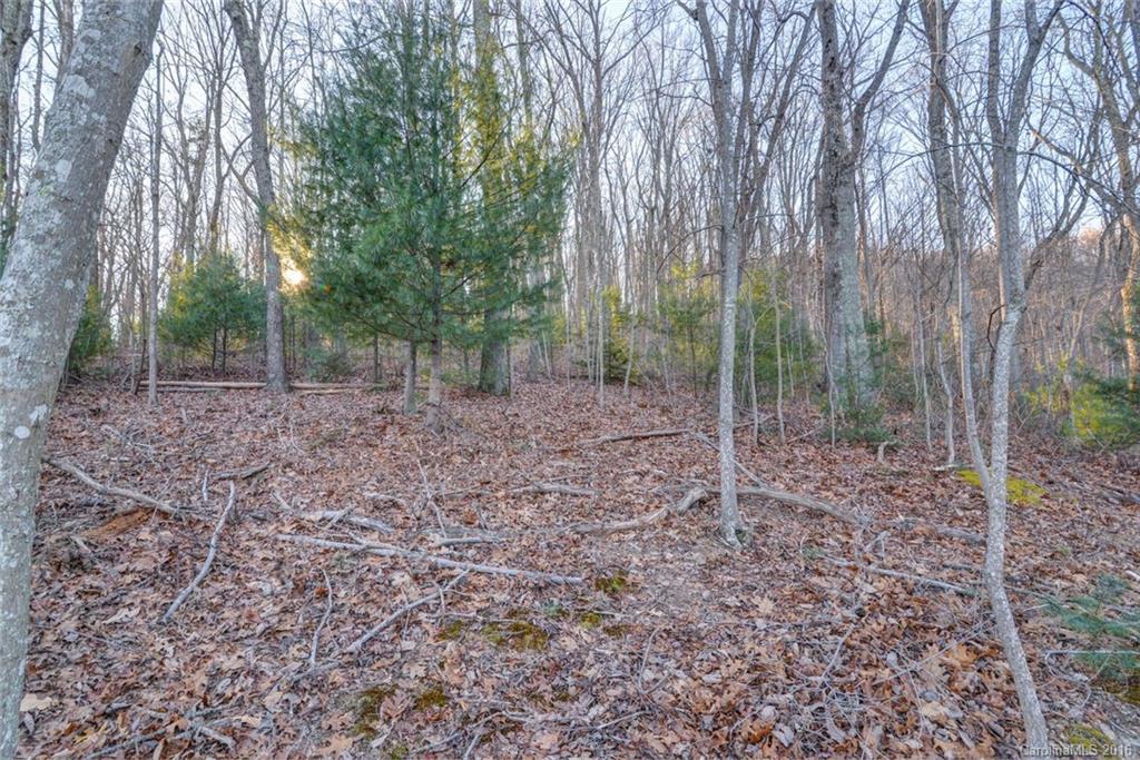 Beaucatcher Heights - Land