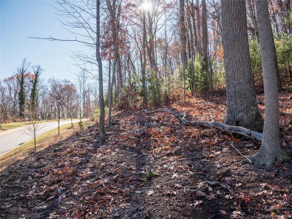 Beaucatcher Heights - Land