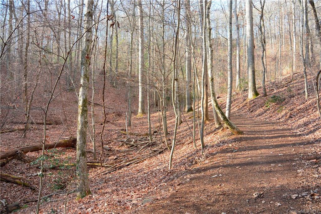 Waightstill Mountain - Residential