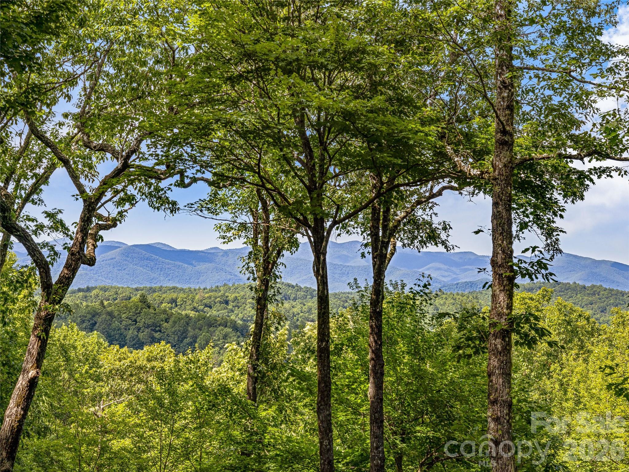 lake Toxaway Estates - Residential