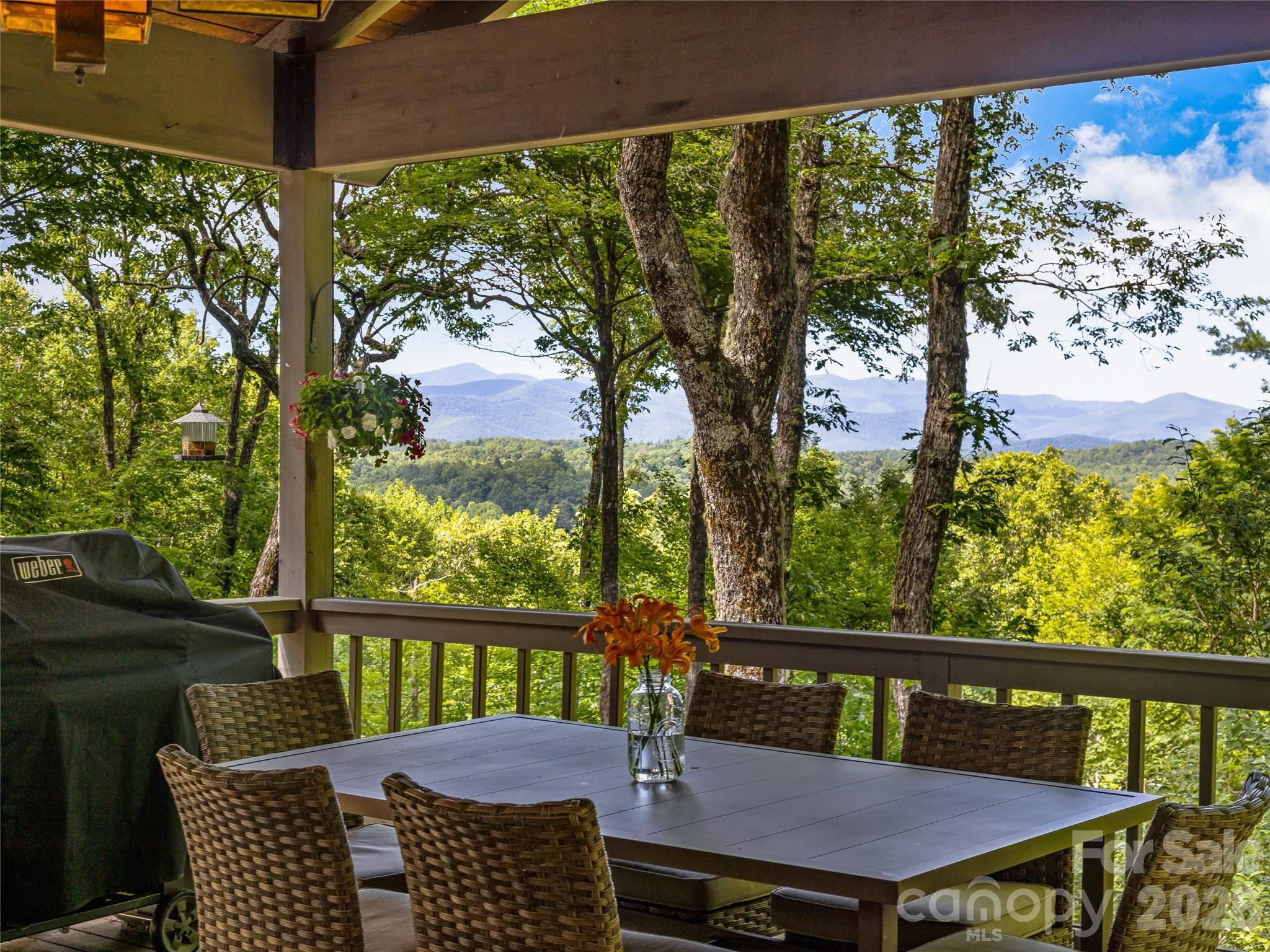 lake Toxaway Estates - Residential