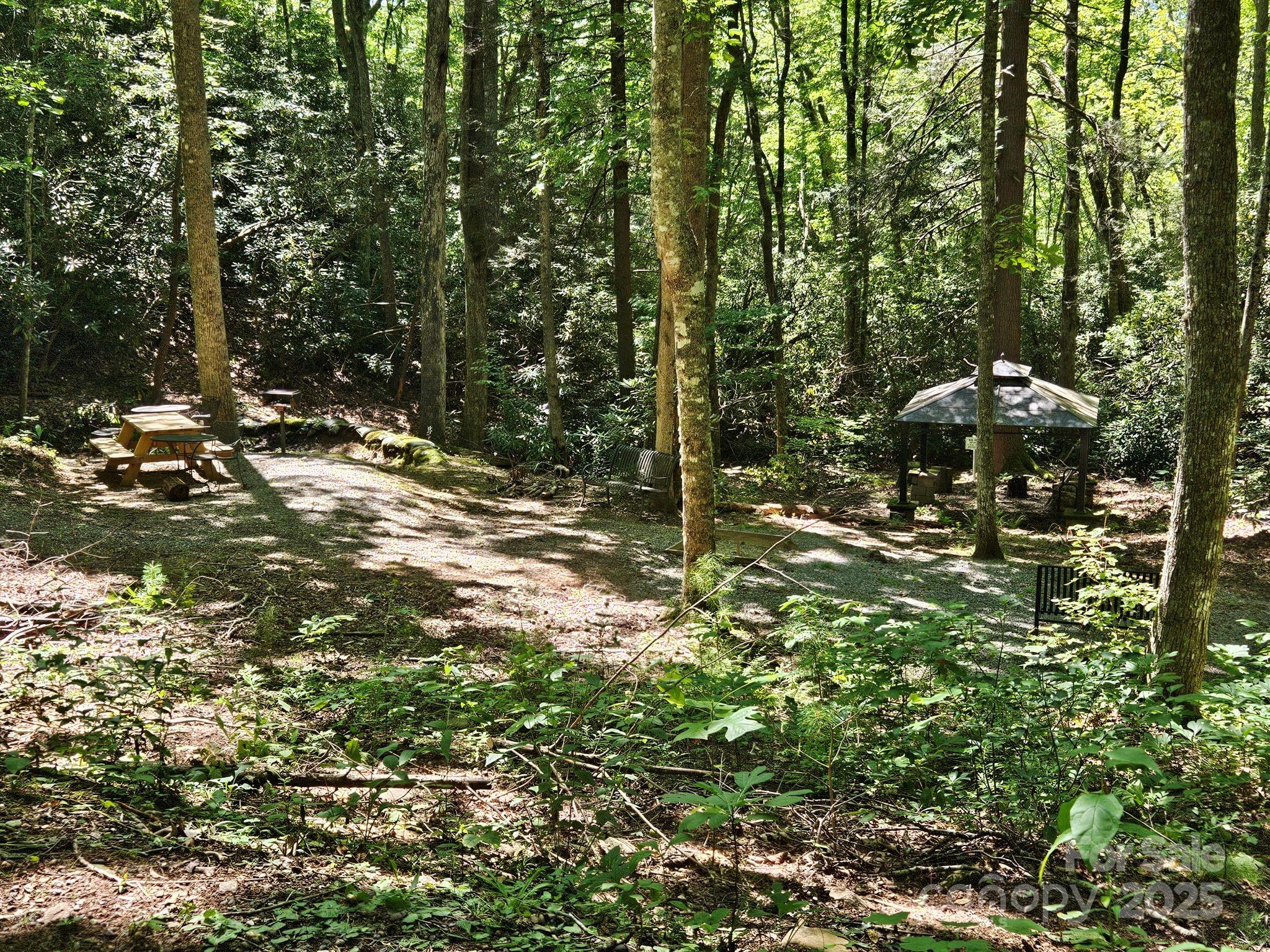 Blue Ridge Vistas - Land