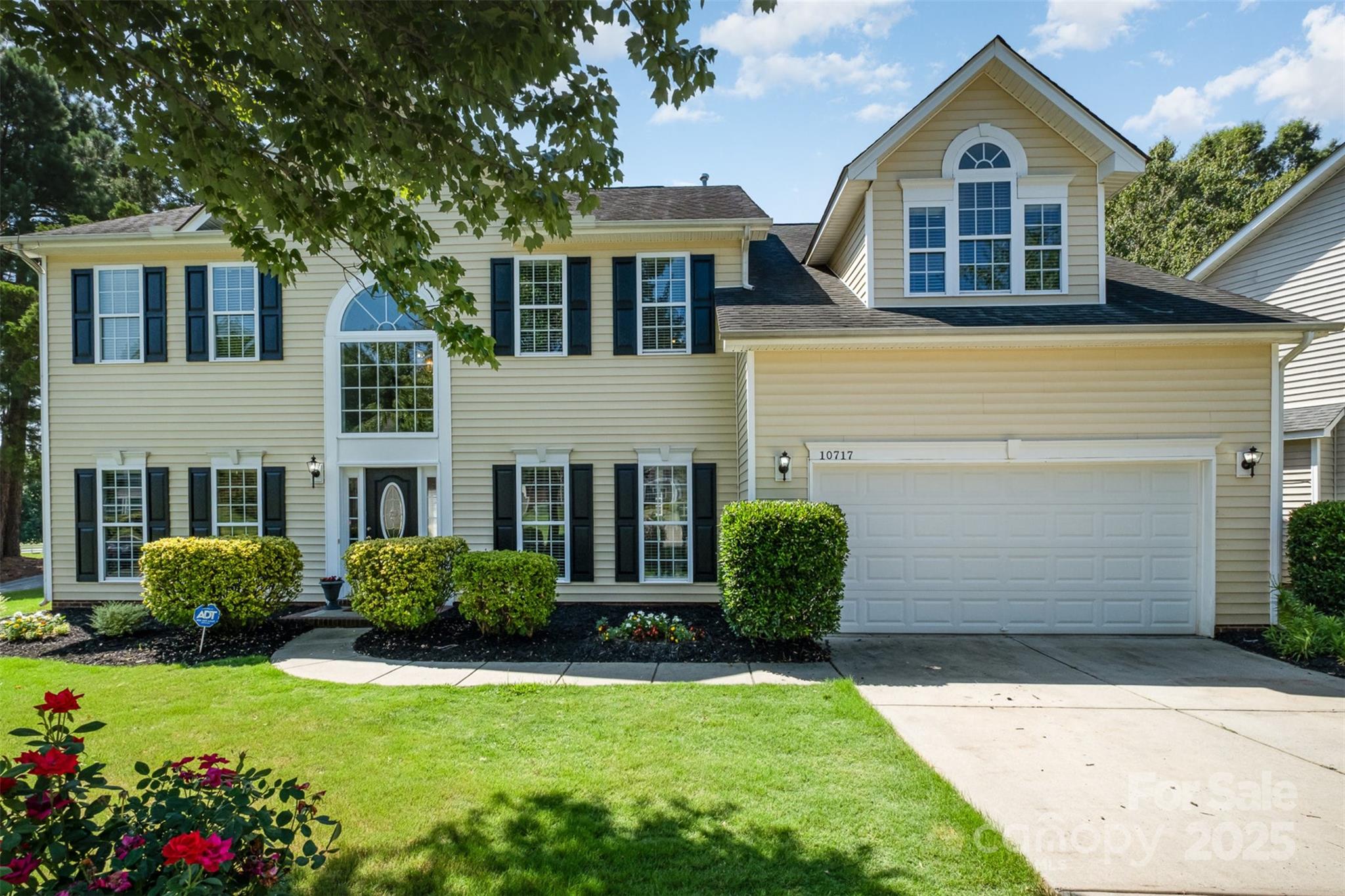 Back Creek Downs - Residential