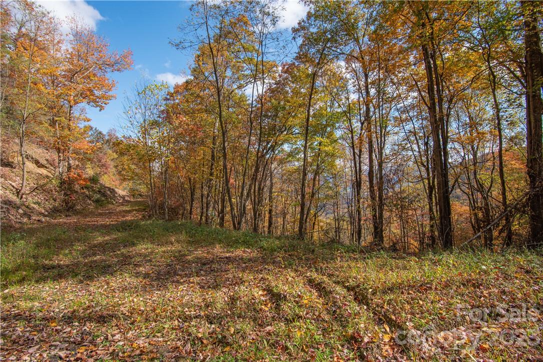 Tract 3 Sigogglin Trail