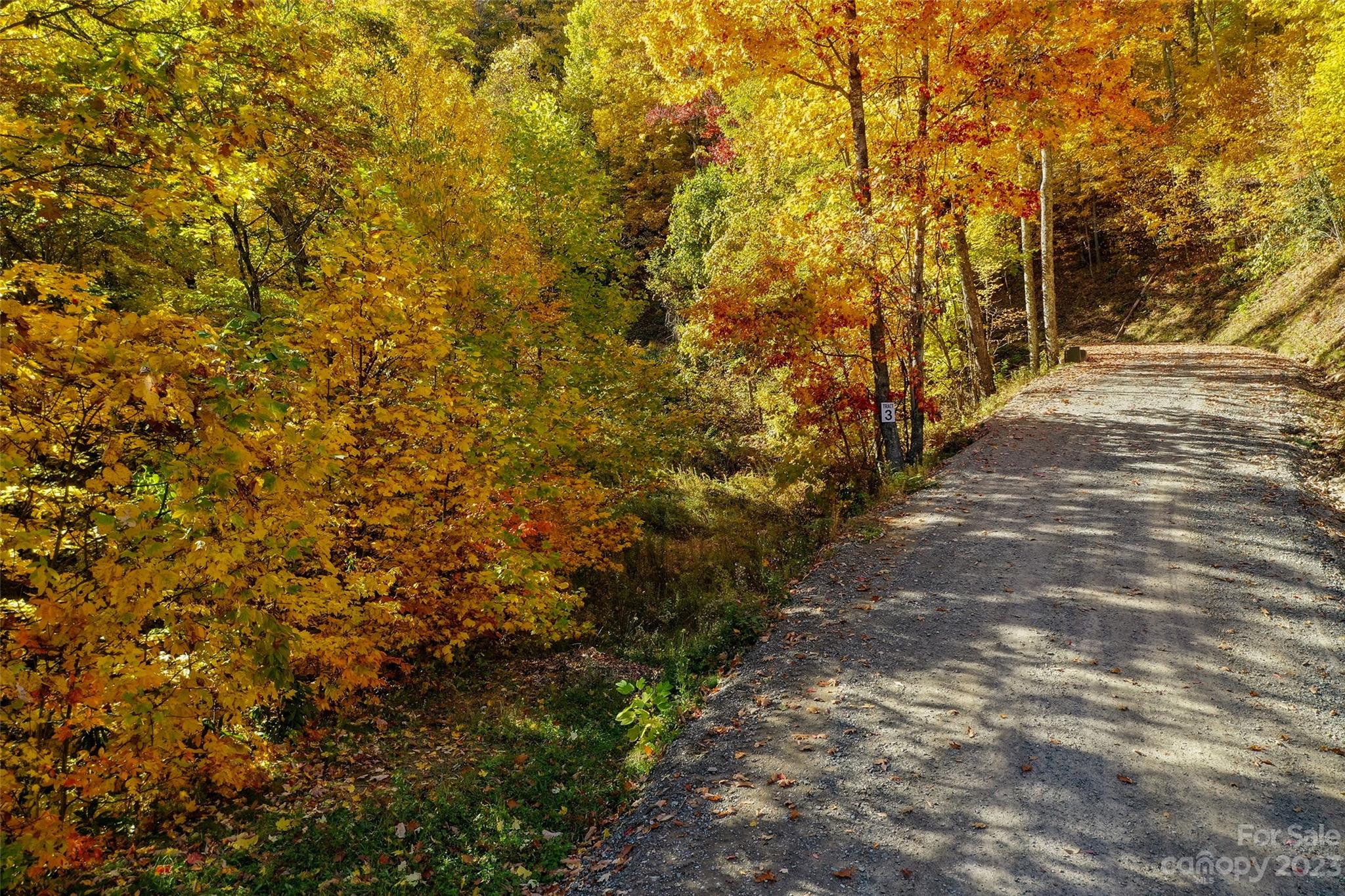 Tract 3 Sigogglin Trail