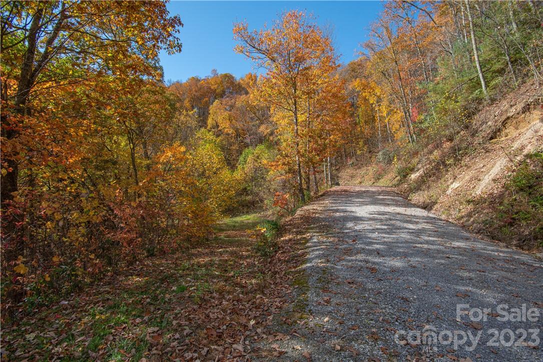 Tract 3 Sigogglin Trail