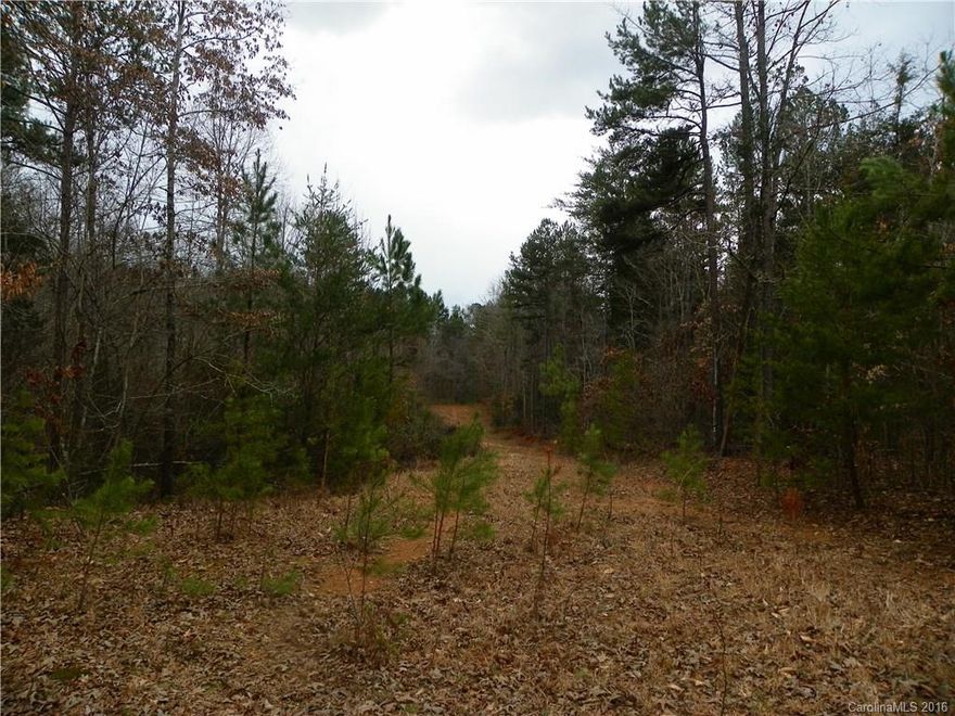 This property consists of 4 parcels of land, totaling 8.69 acres to be sold together.  There is an existing dirt/gravel driveway which provides access to Jim Wilson Road.  This property can be used to build your dream home in seclusion, or can be divided into 1 acre building lots(please see zoning restrictions)  This is a great opportunity, call today to see.